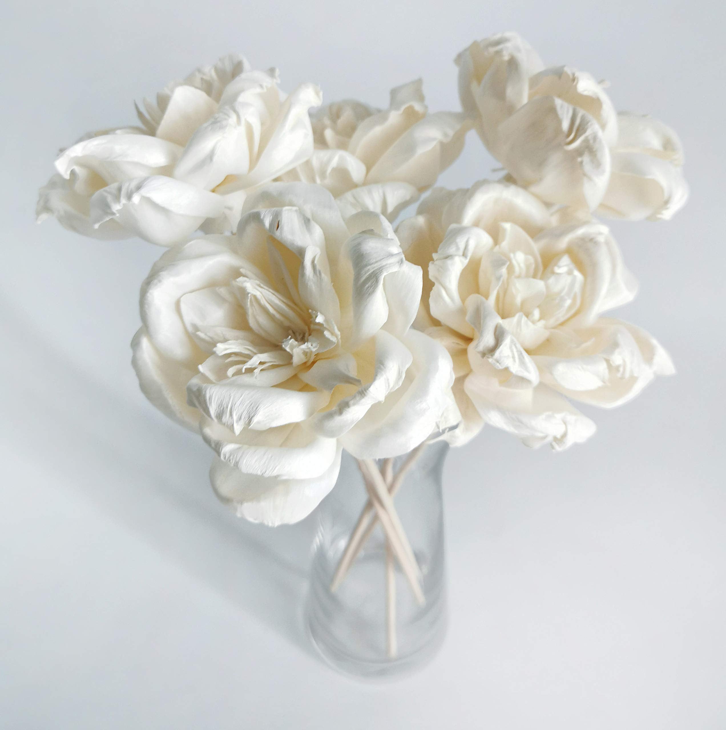Rattan reed stick for diffuser