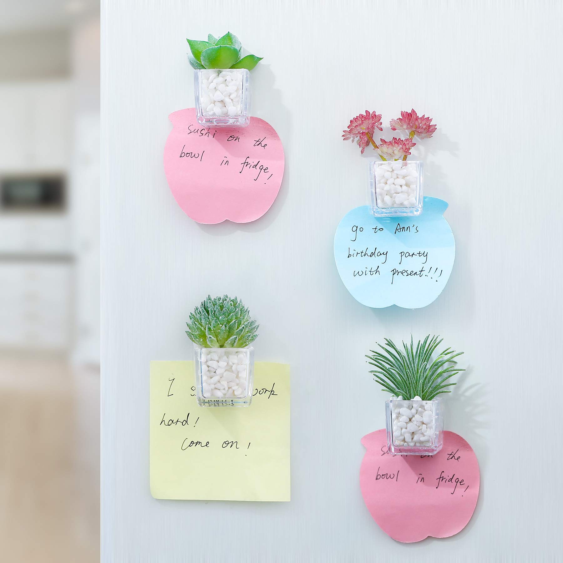 Magnets for refrigerator whiteboard and lockers