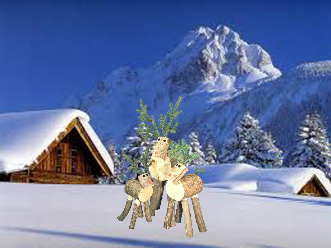 Indoor outdoor reindeer decor suitable for gifts