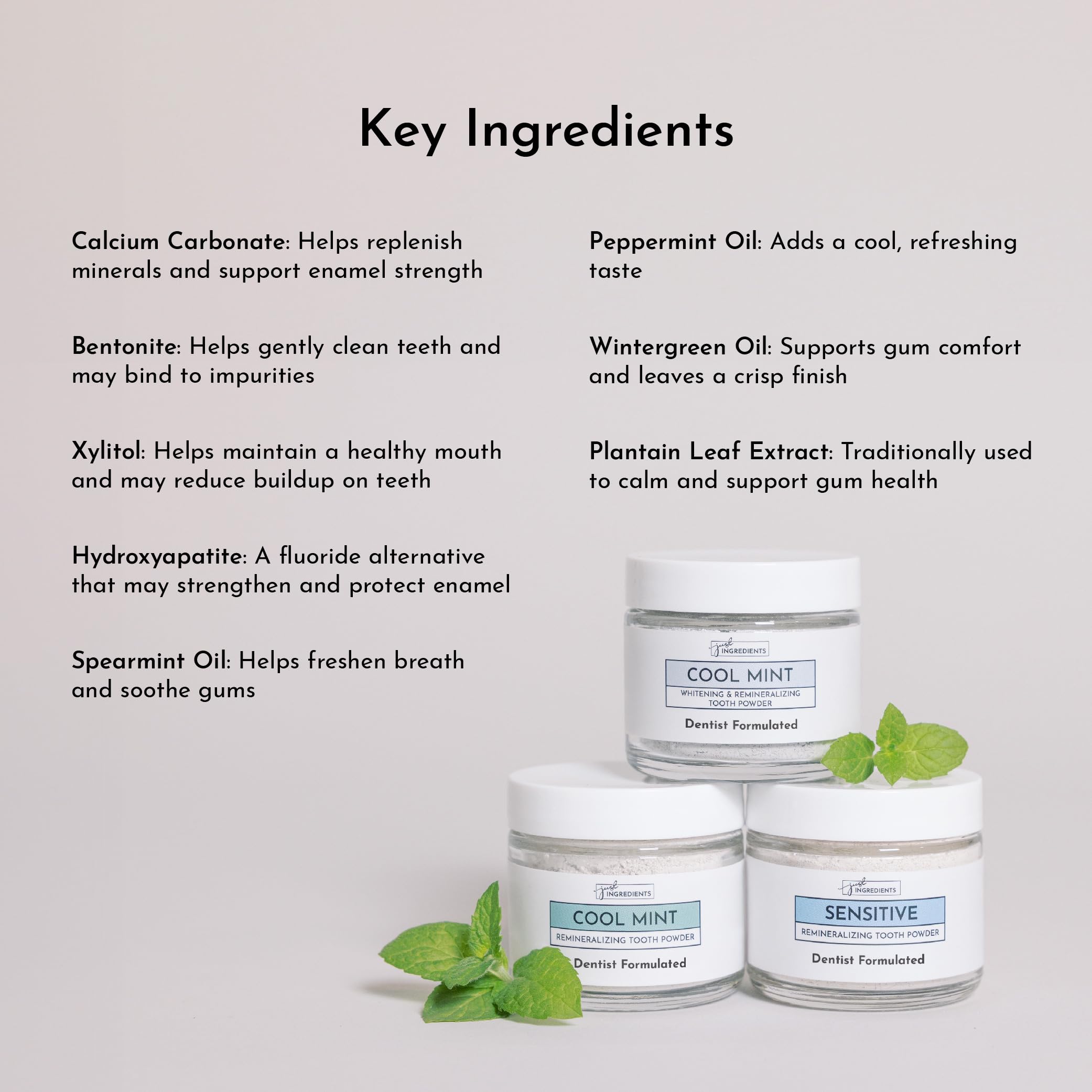 Fluoride-free formula alternative to toothpaste 1 oz JUST INGREDIENTS