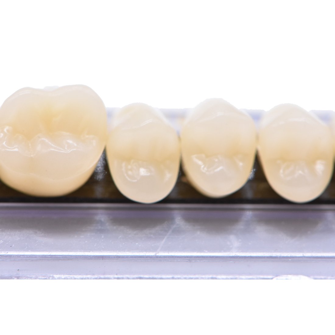 not medical use Halloween teeth prop