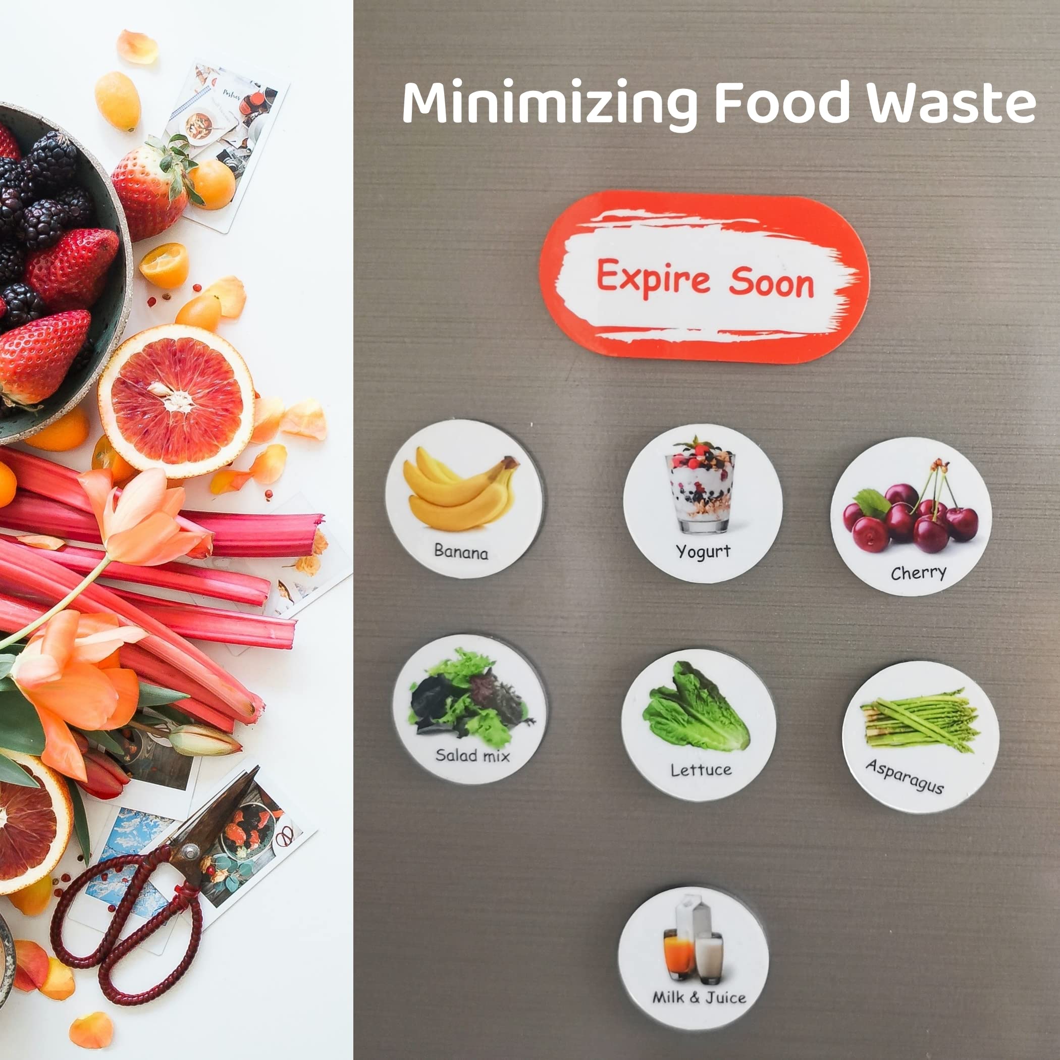90 foods across six categories magnets display