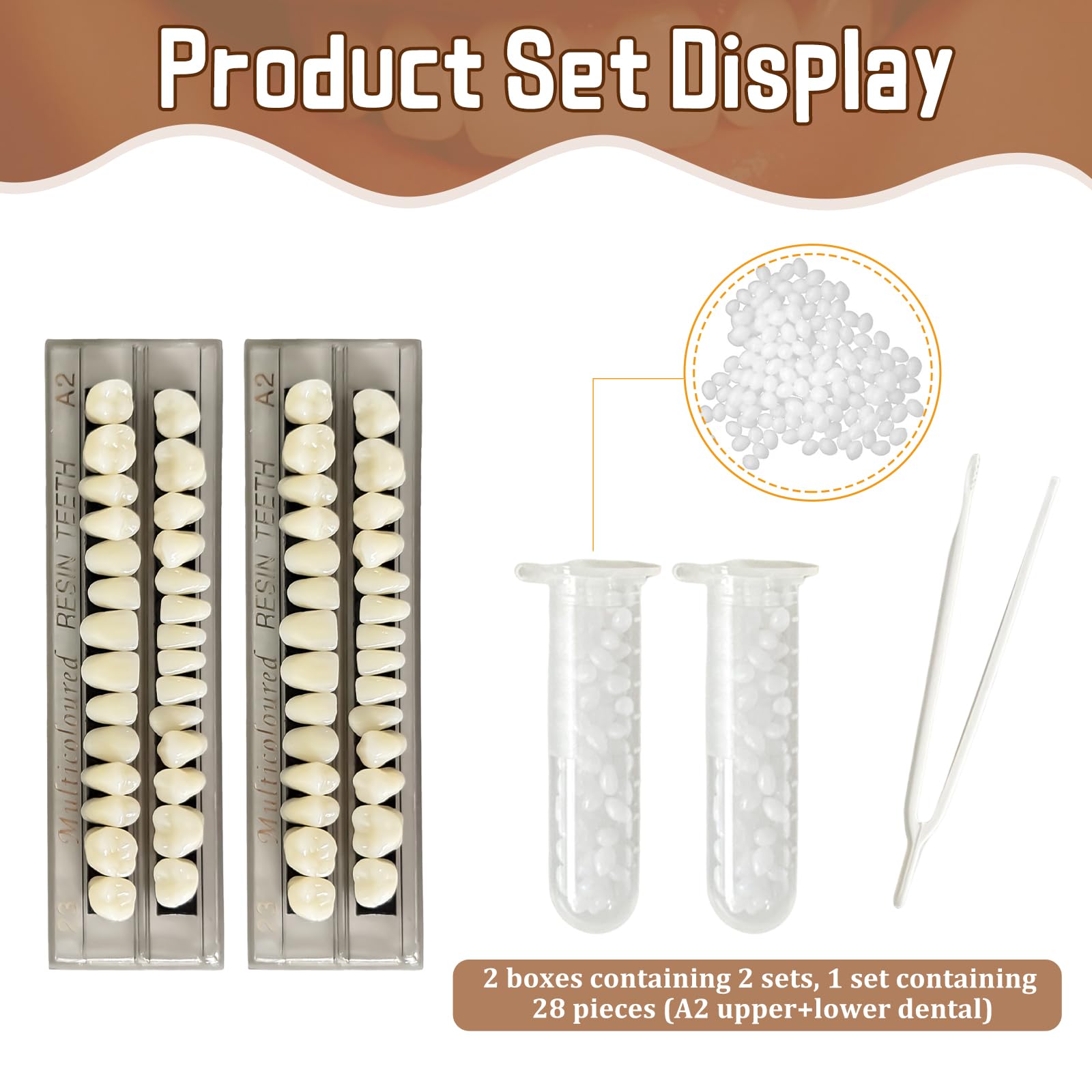 Resin dentures 56-piece set for teaching model