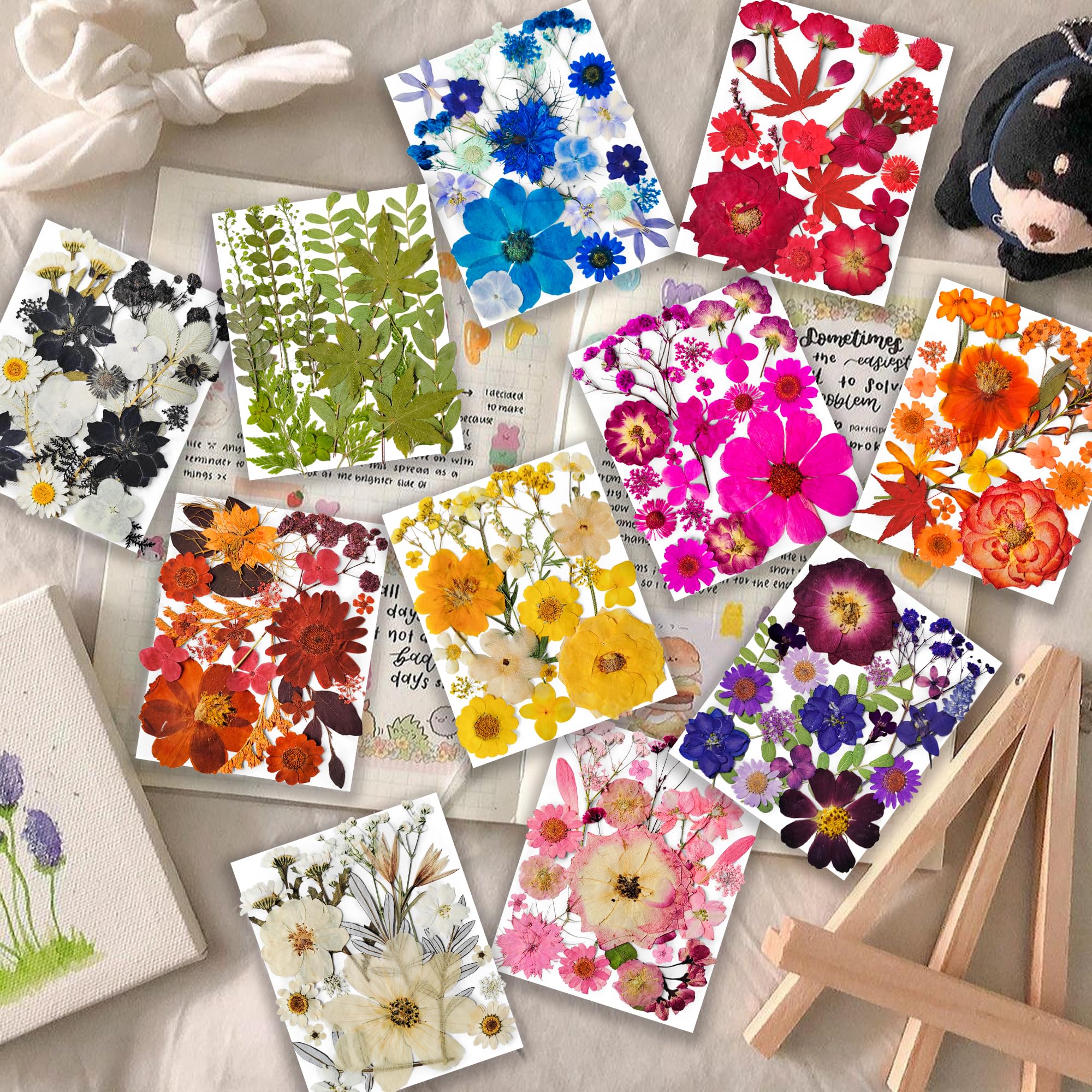 Dried pressed flowers bulk 11 color sheets