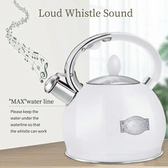 RETTBERG Five Layer Base Tea Kettle Induction Compatible