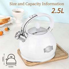 RETTBERG Food Grade Stainless Steel Kettle 2.5 Liter
