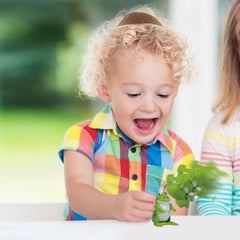Pesach Seder Passover wind up frog for goodie bags