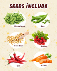 Root Viewer Kit seed varieties display showing Kidney Bean Pea Soya-Bean Radish Chili Carrot