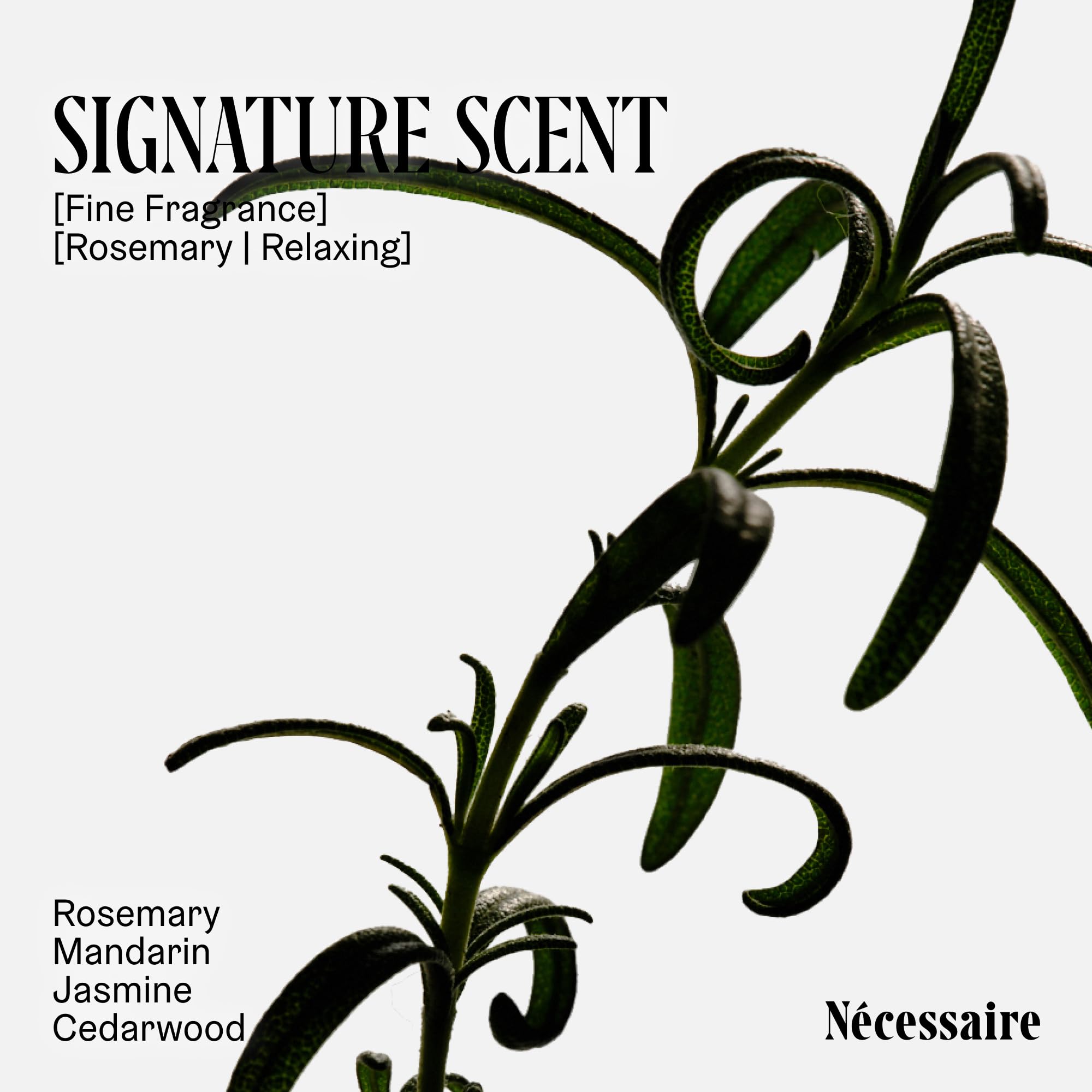 Rosemary Shampoo color safe packaging