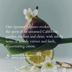 RŌZ Organic Safflower Seed Argan Olive Jojoba oils