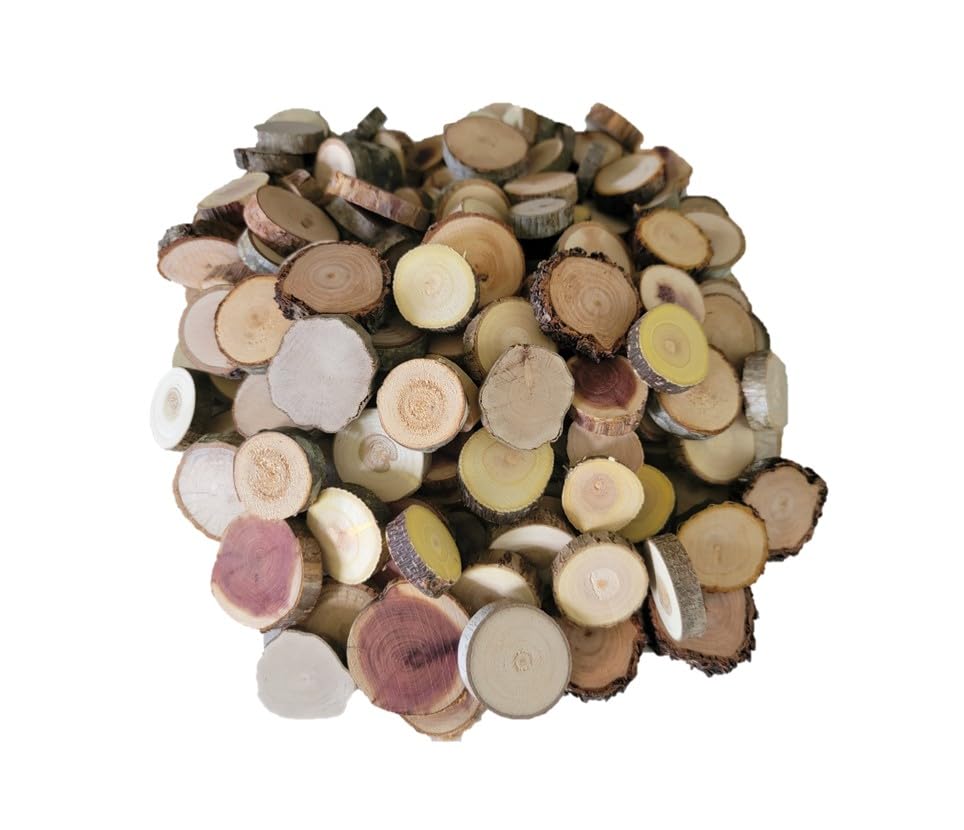 Assorted wood slices showing multiple species