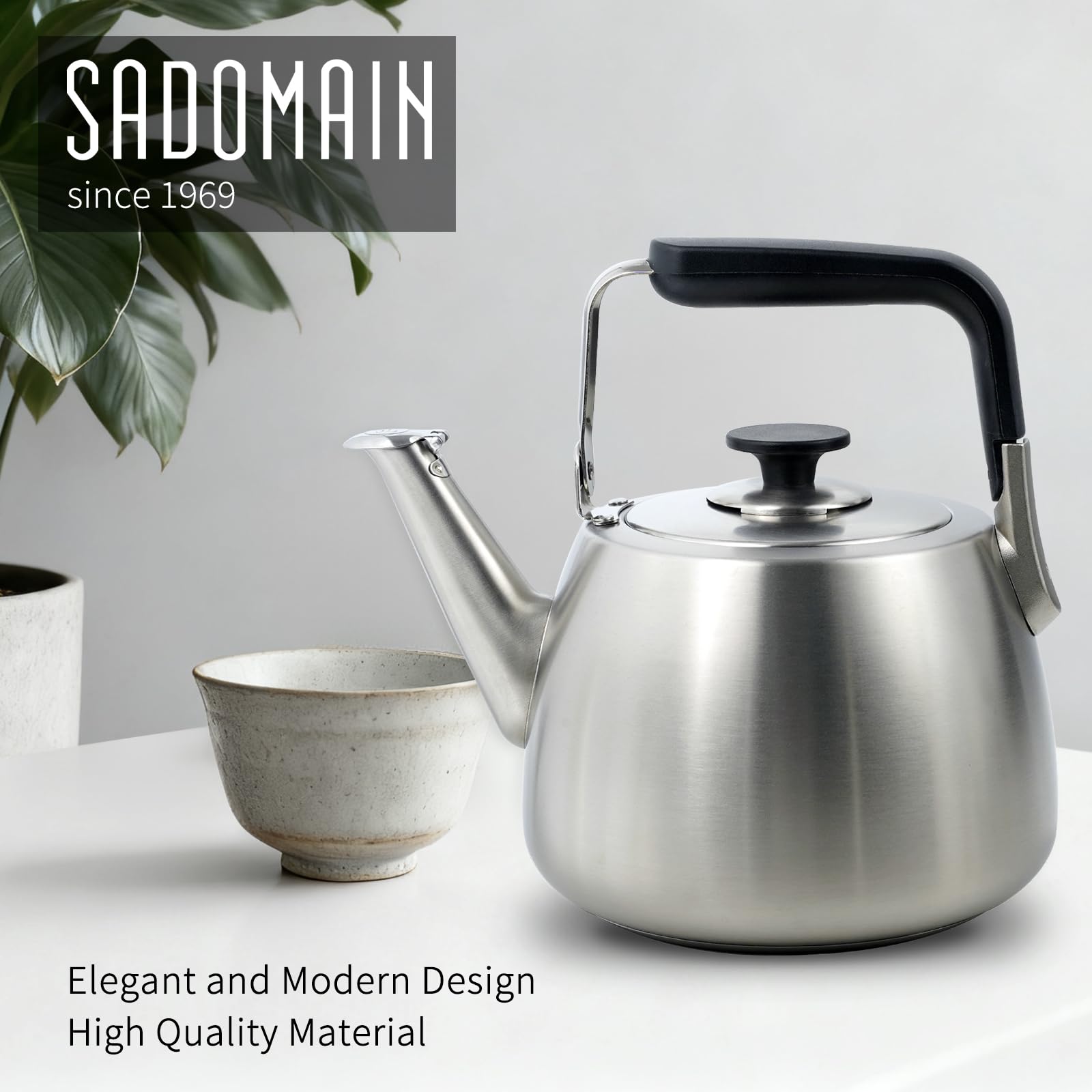 Whistling SADOMAIN tea kettle on stovetop ready to boil