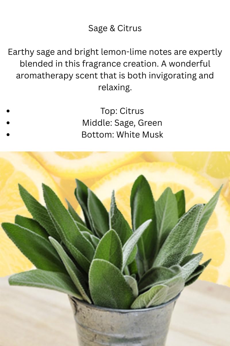 Six cubes of Sage & Citrus soy wax melt fragrance for warmer