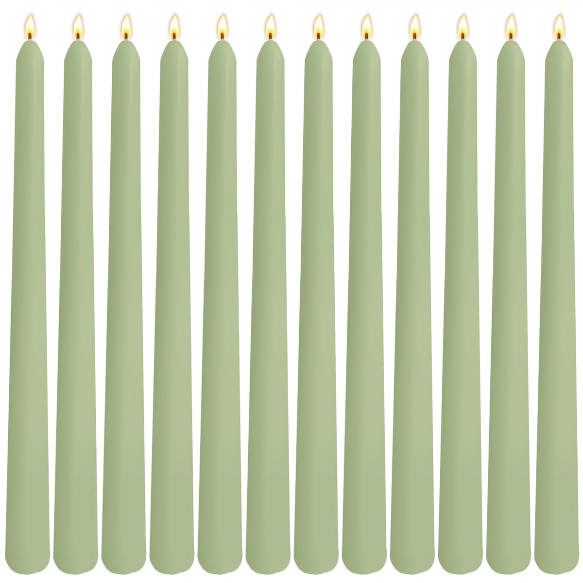 sage green taper candles 12 pack on table