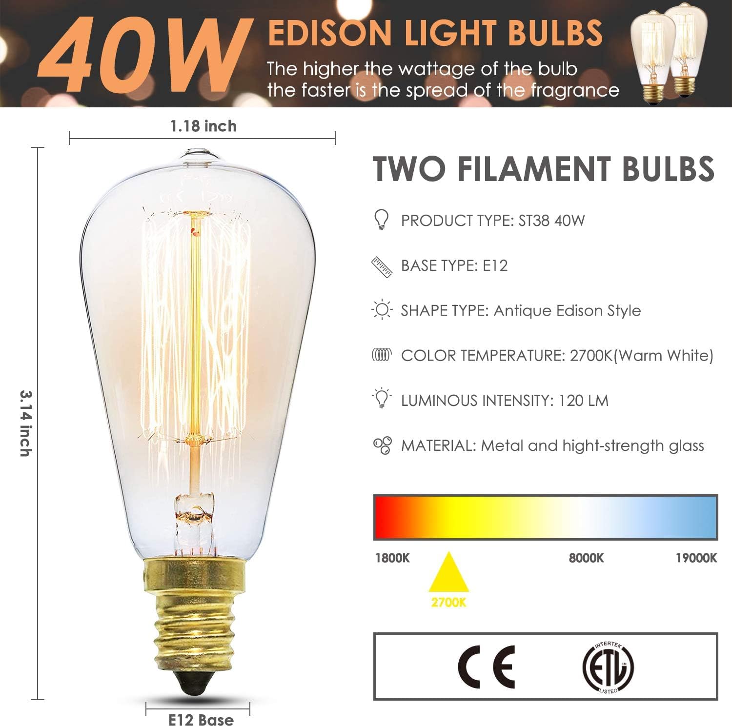 Two Edison bulbs illuminate SALKING wax melt warmer