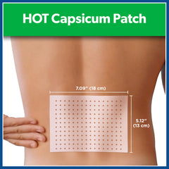 Salonpas Hot Capsicum Patch 5x7 inch size