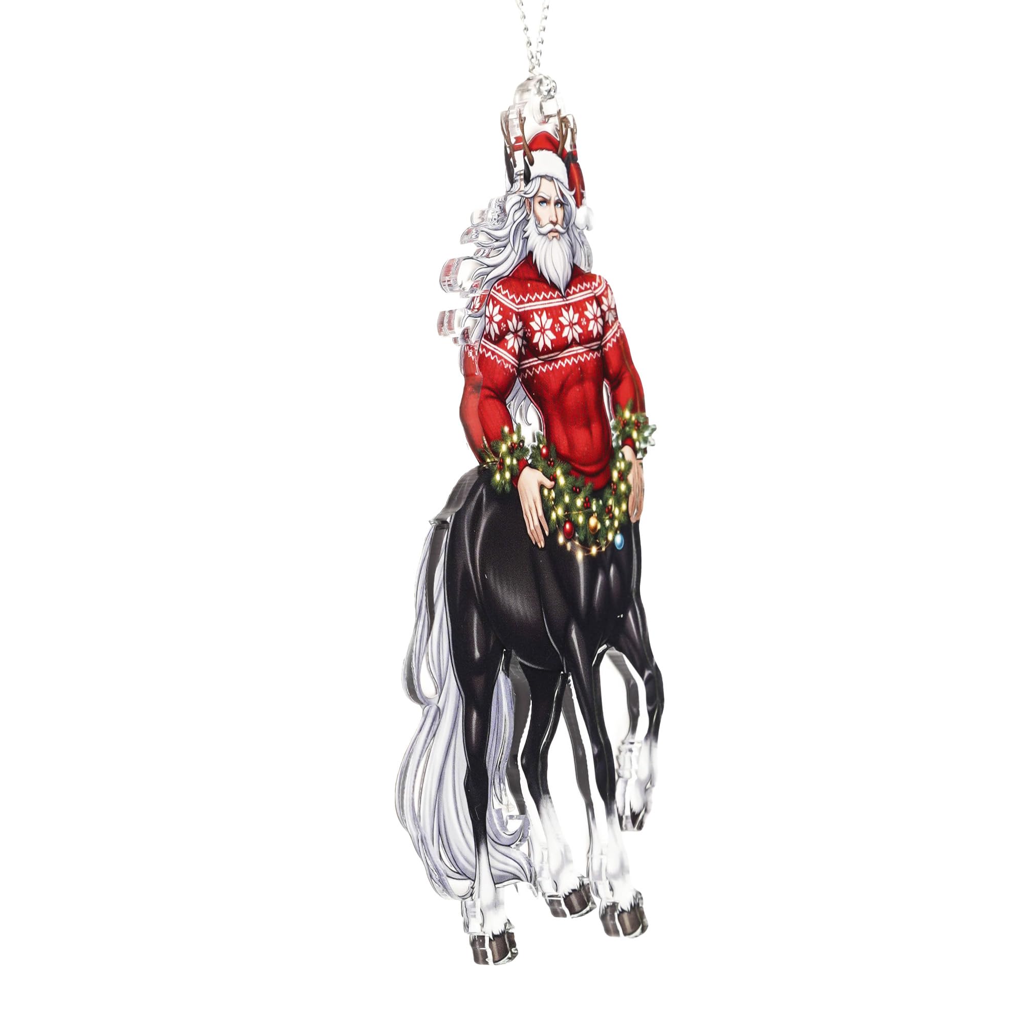 Christmas humor ornament for holiday decor