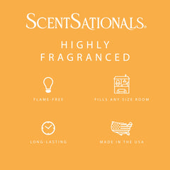 Safe flame free wax melts for home use
