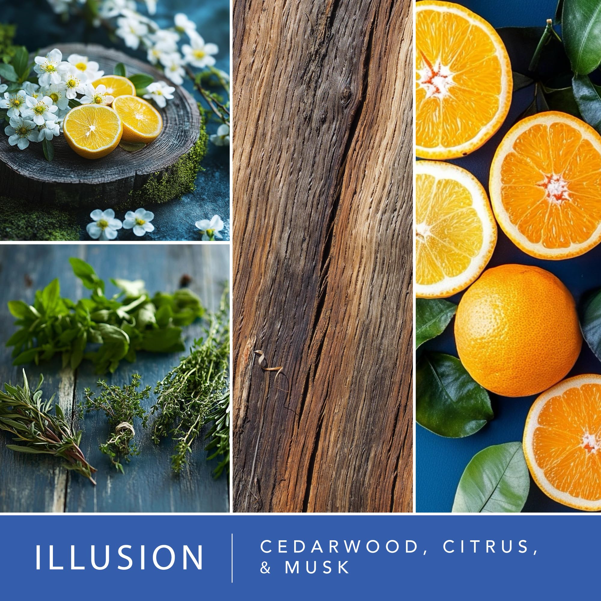 Illusion scent Moodscapes Tranquility 4-Pack wax melt cube