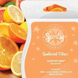 Scentsy Bar Sunkissed Citrus fragrance image