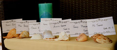 Sea shell placecard holders for nautical themed events