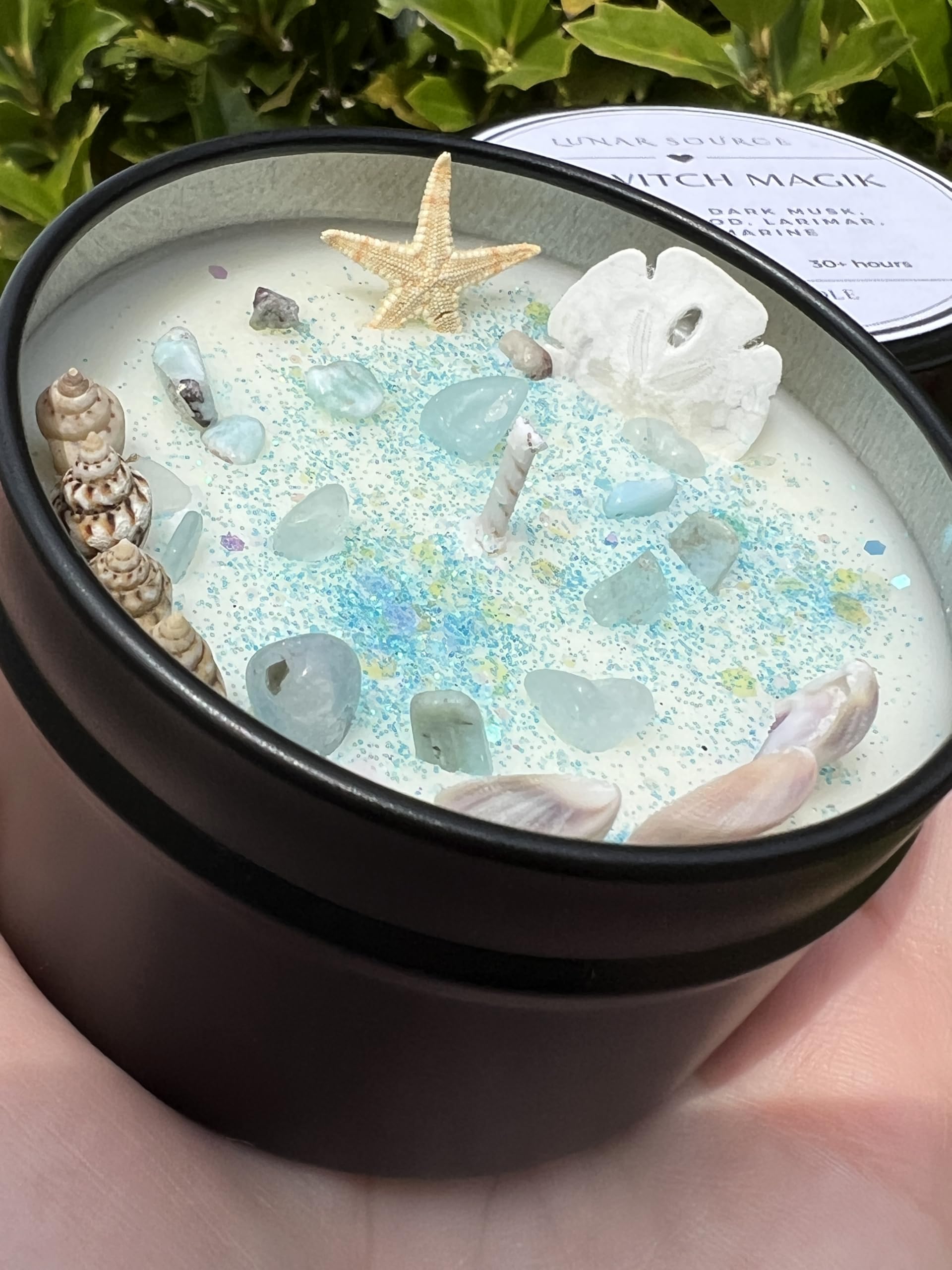 Star Fish and sand dollar decorations on Sea Witch Mermaid Magick Candle