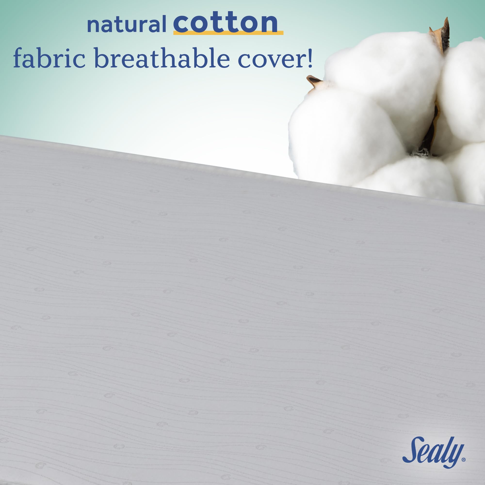 Crib and toddler bed compatibility with Sealy mattress 5.5 inch height