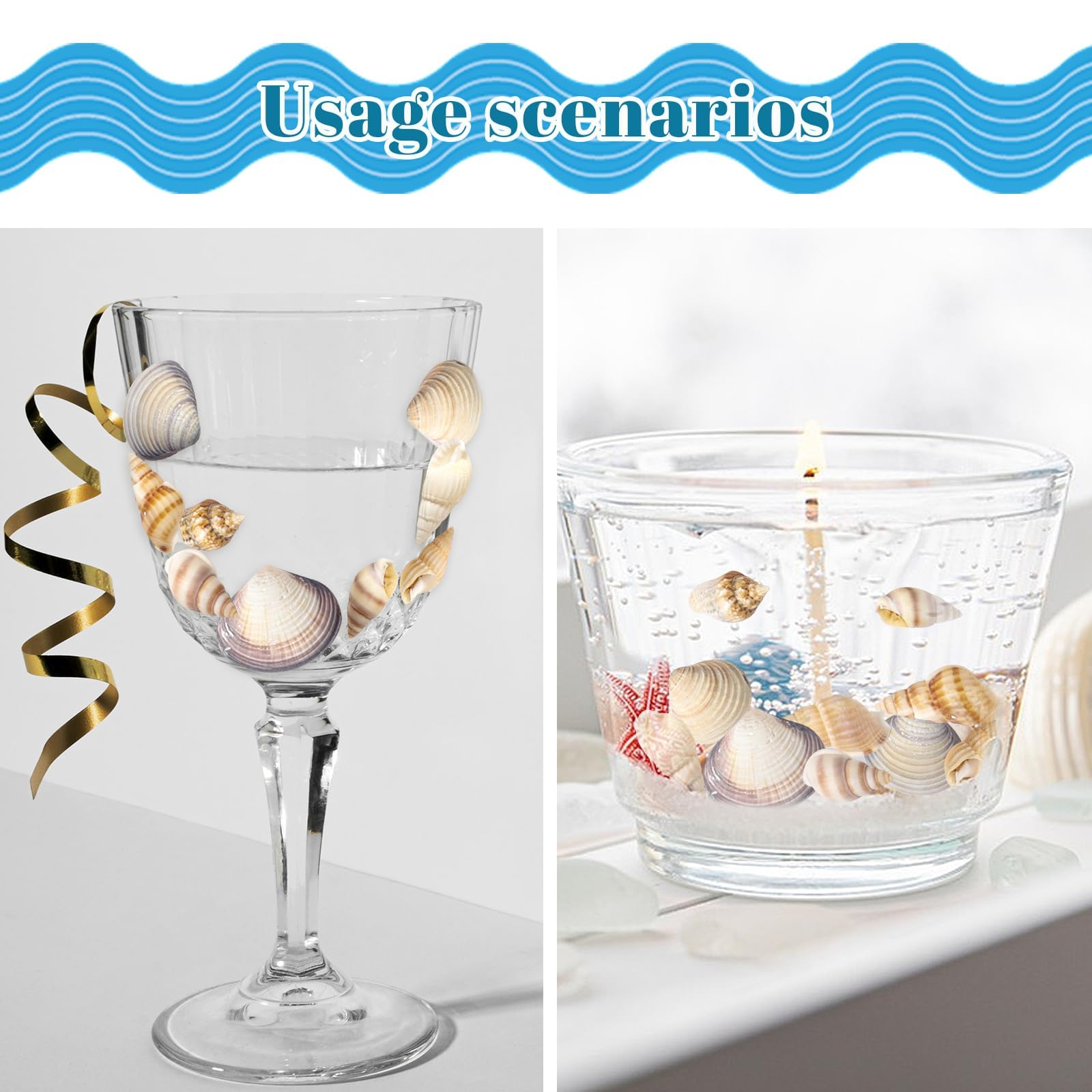 Seashells for aquarium use creating a mini underwater scene