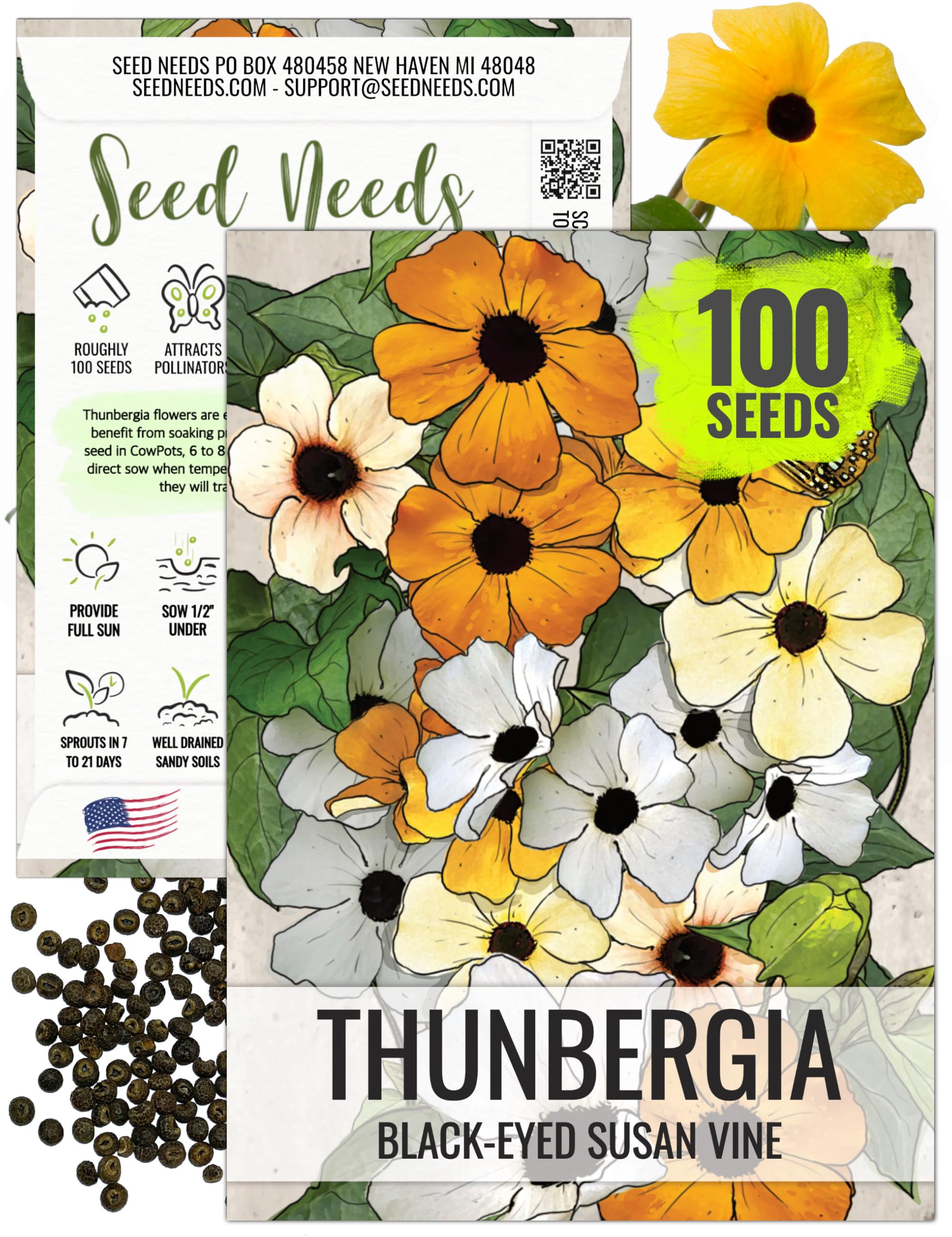 Seed Needs Black-Eyed Susan Vine Seeds 1 Pack packaging front
