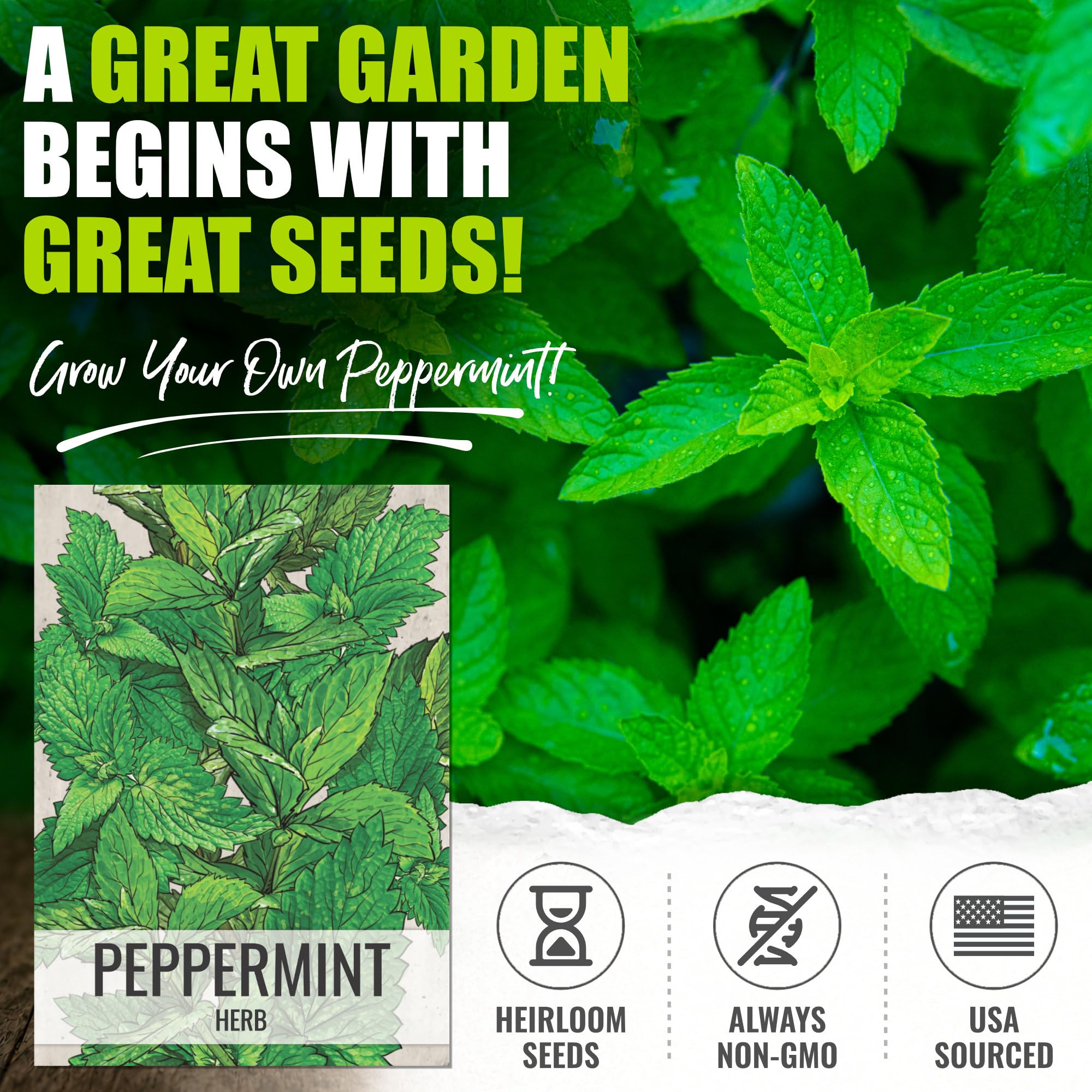 Peppermint herb seeds illustration on packet