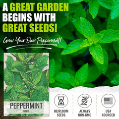 Peppermint herb seeds illustration on packet