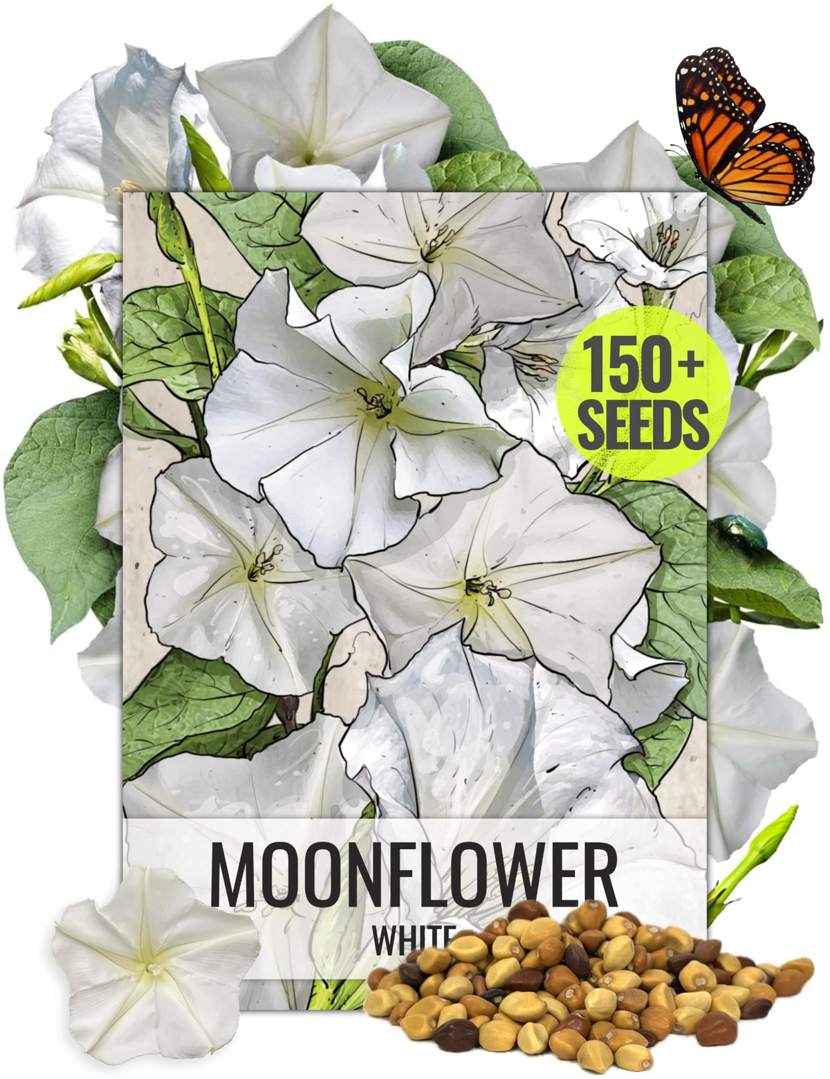 Moonflower vines seed pouch front showing Seed Needs branding and 5x7 inch size