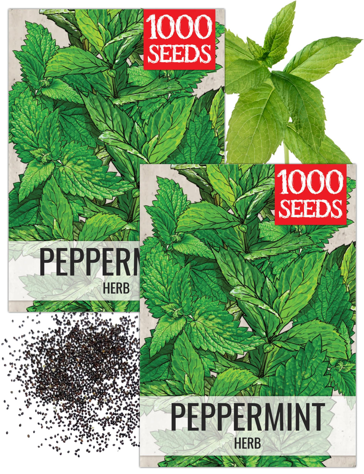 Seed Needs peppermint seed packet for heirloom mint herbs 2 packs