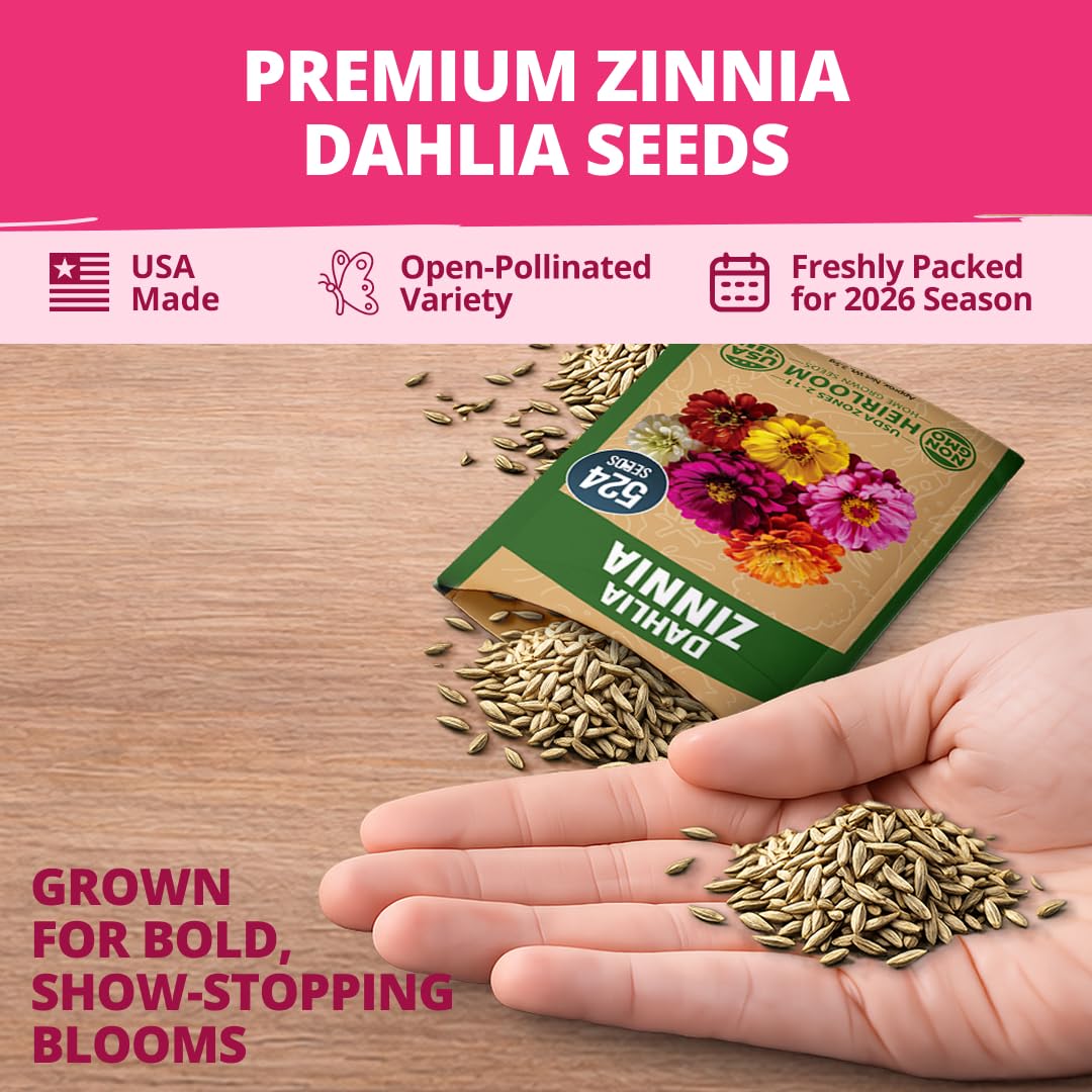Pollinator friendly zinnia dahlia seeds attract butterflies and bees