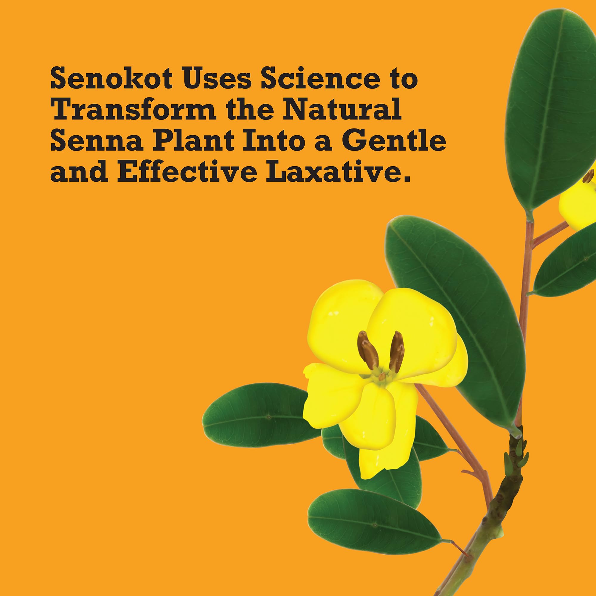 senokot laxative tablets brand name packaging