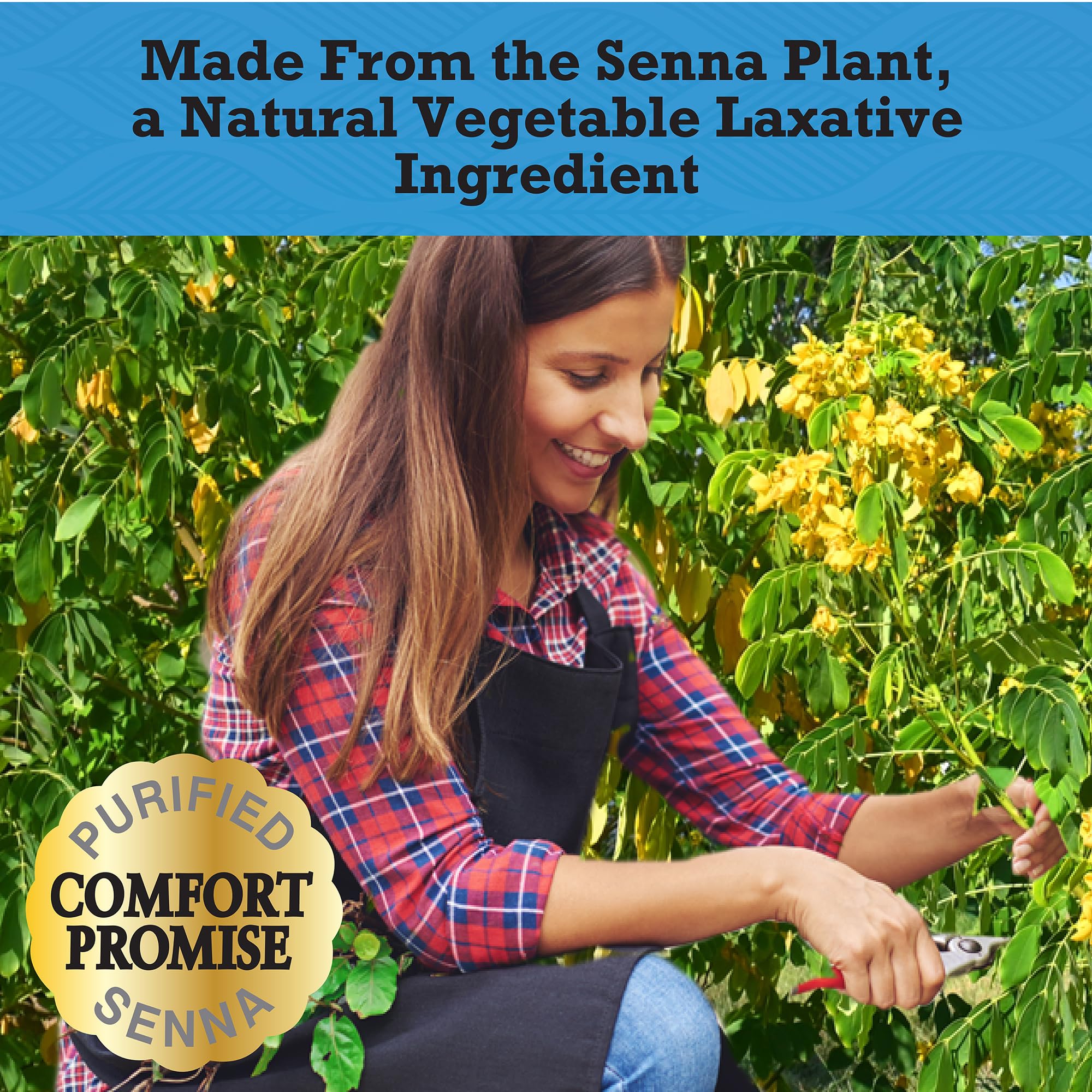 Natural vegetable laxative senna component in Senokot-S