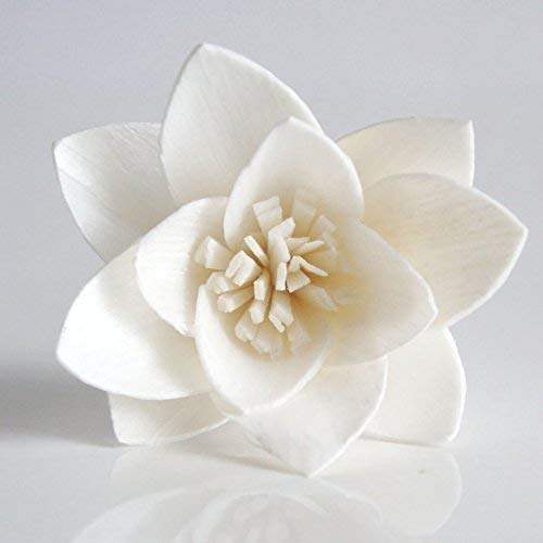 Sola flower diameter 2 inches and reed stick length 8 inches