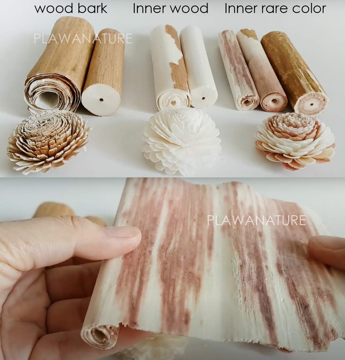 Rattan reed sticks for Sola Flower diffuser