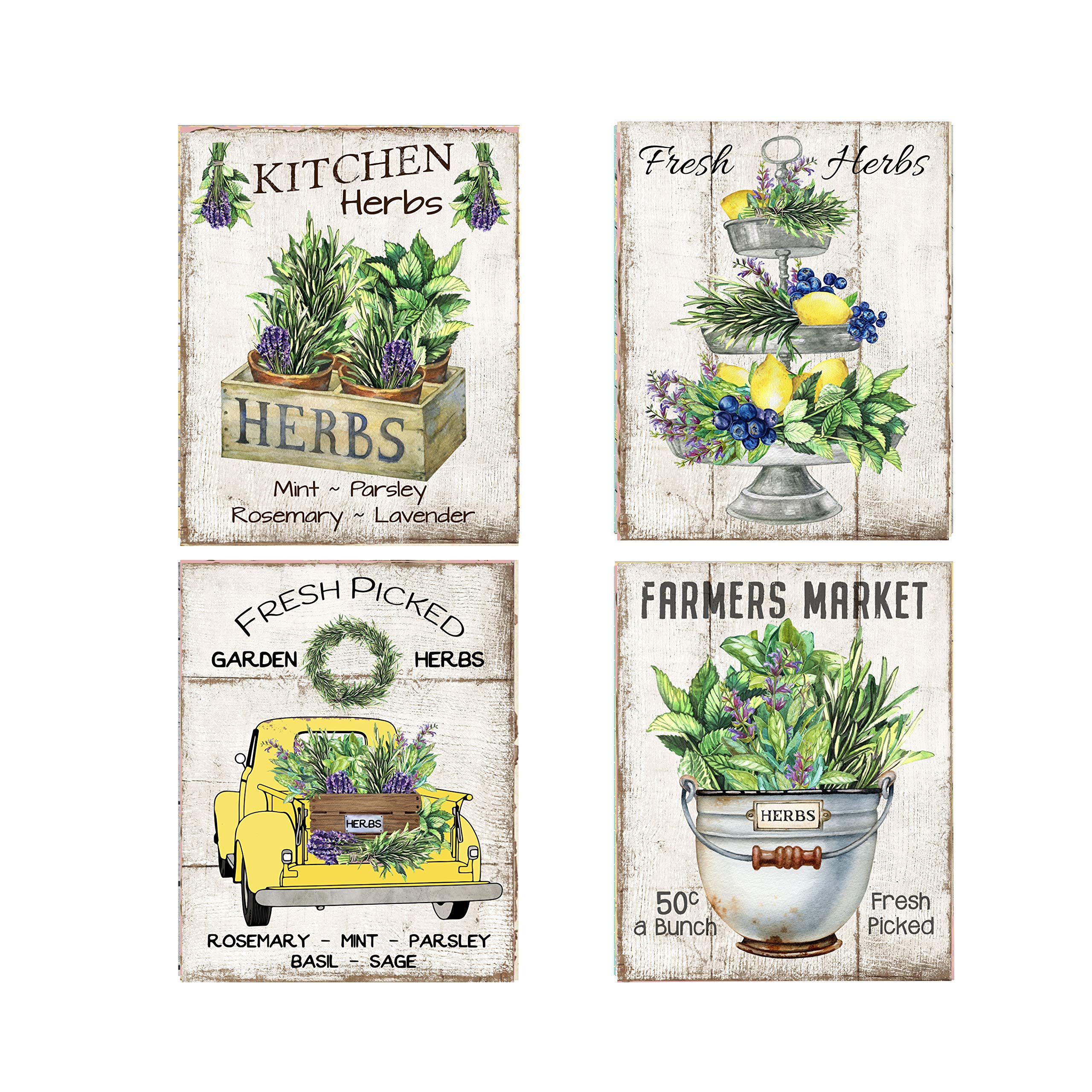 Set of 4 8x10 Fresh Picked Herbs Wall Art Canvas Prints unframed