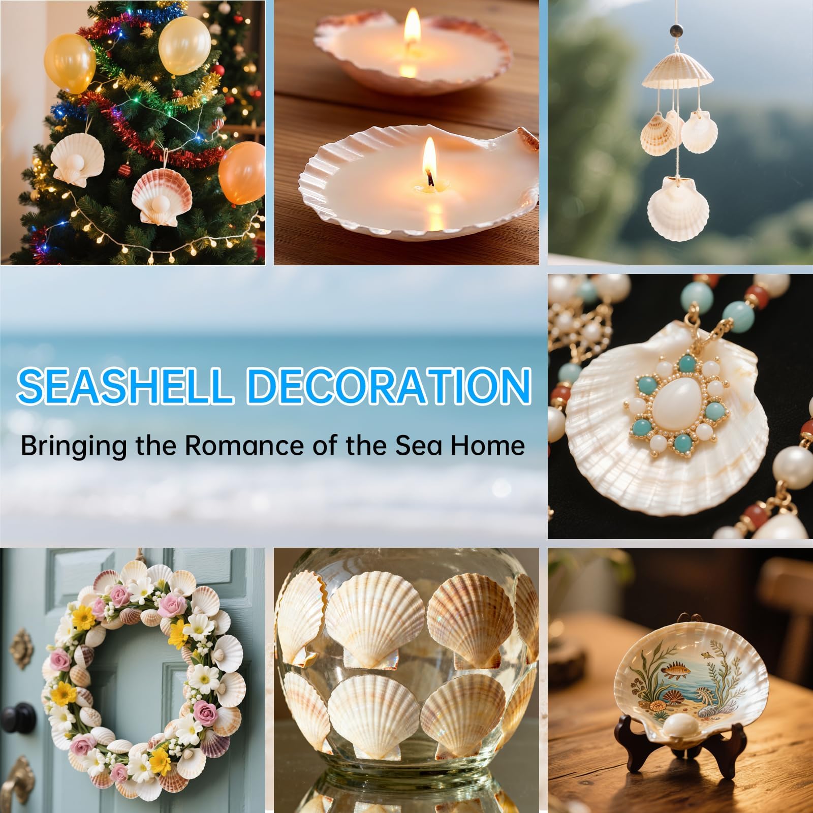 shells for jewelry making and resin art