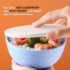 dust-proof lid on wheat straw cereal bowls