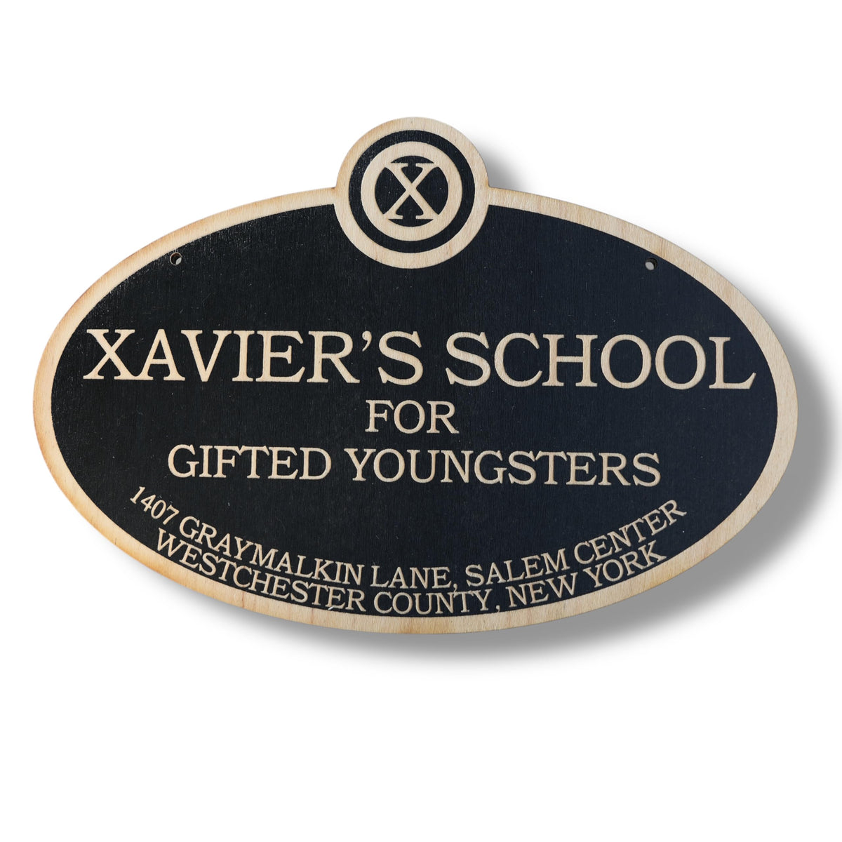 Black wood sign Xavier's School Gifted Youngsters 6x9 inches on wall