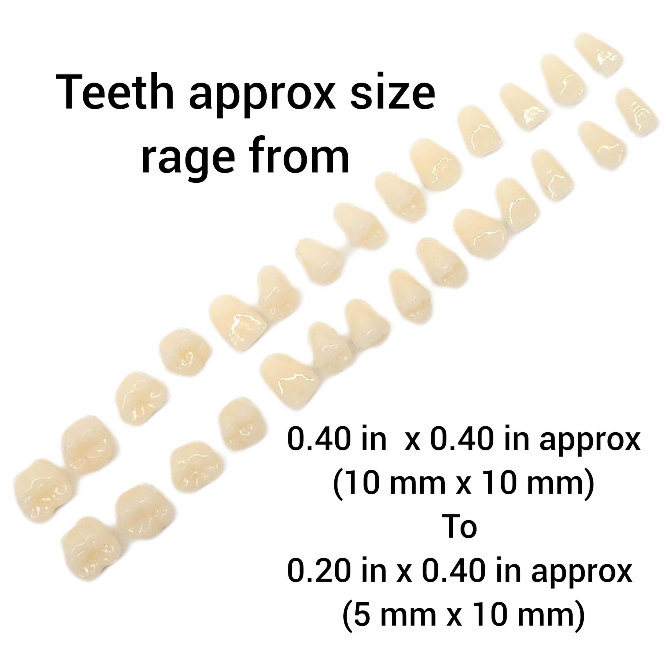 NC041 silicone tooth mold for wax resin image 2