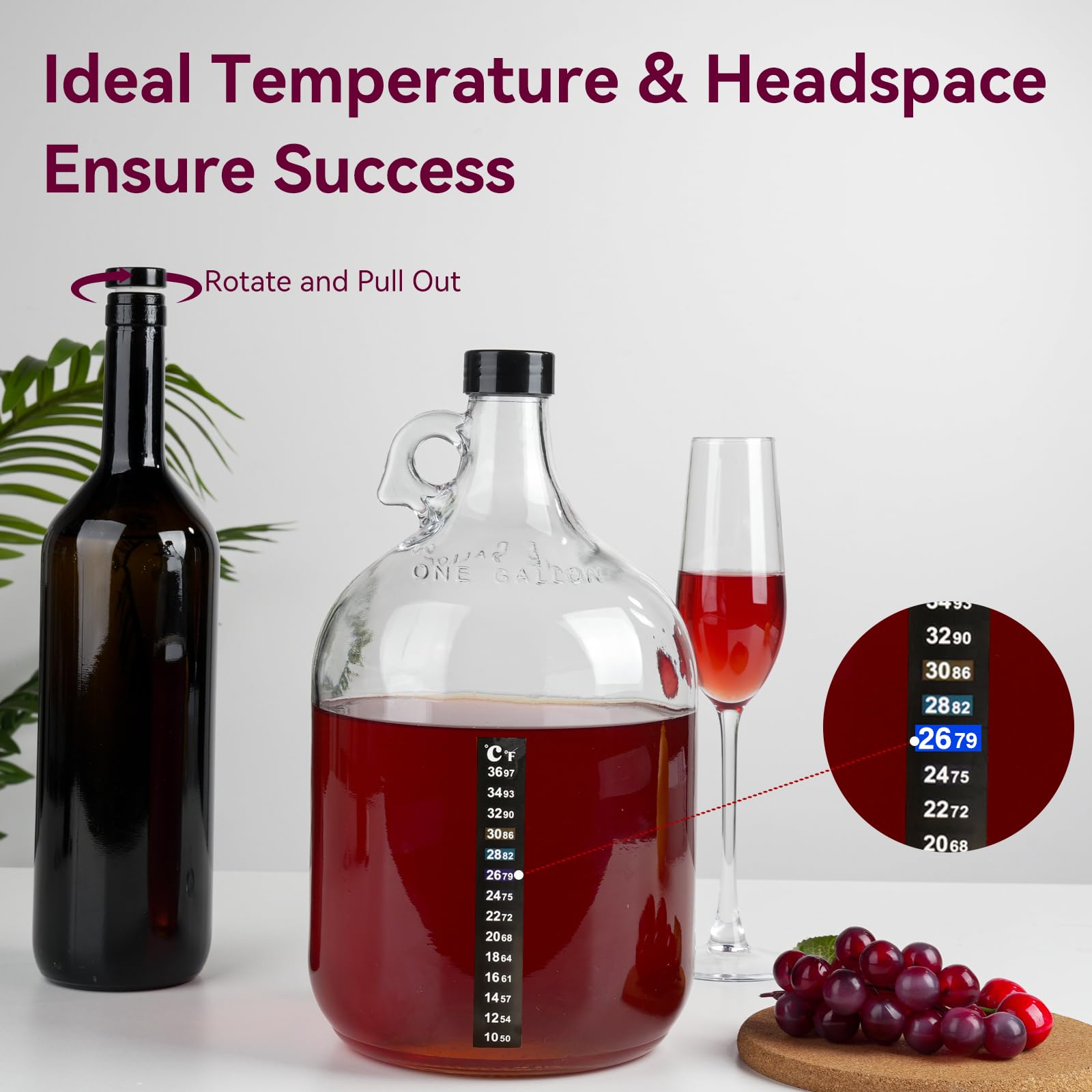 Siphon and airlock for winery setup