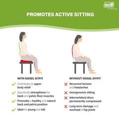 Back and pelvic floor training with SITFIT