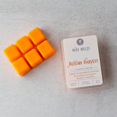 Autumn Harvest scented melts bright orange color 3 oz