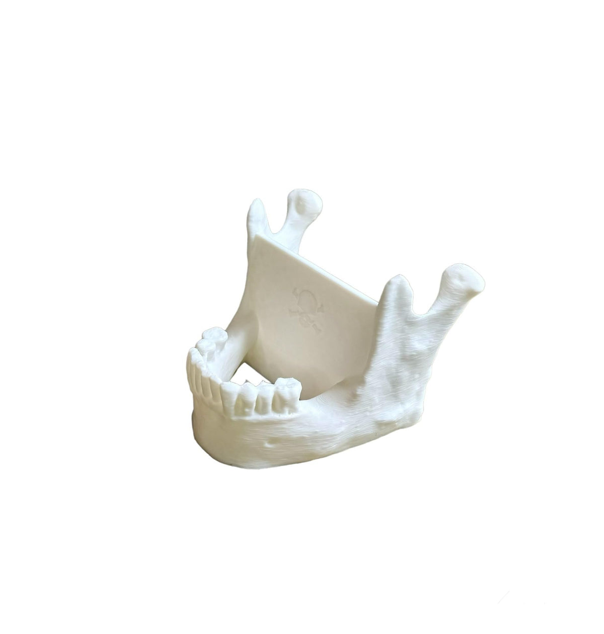 Skull jaw mandible card holder for medical professionals