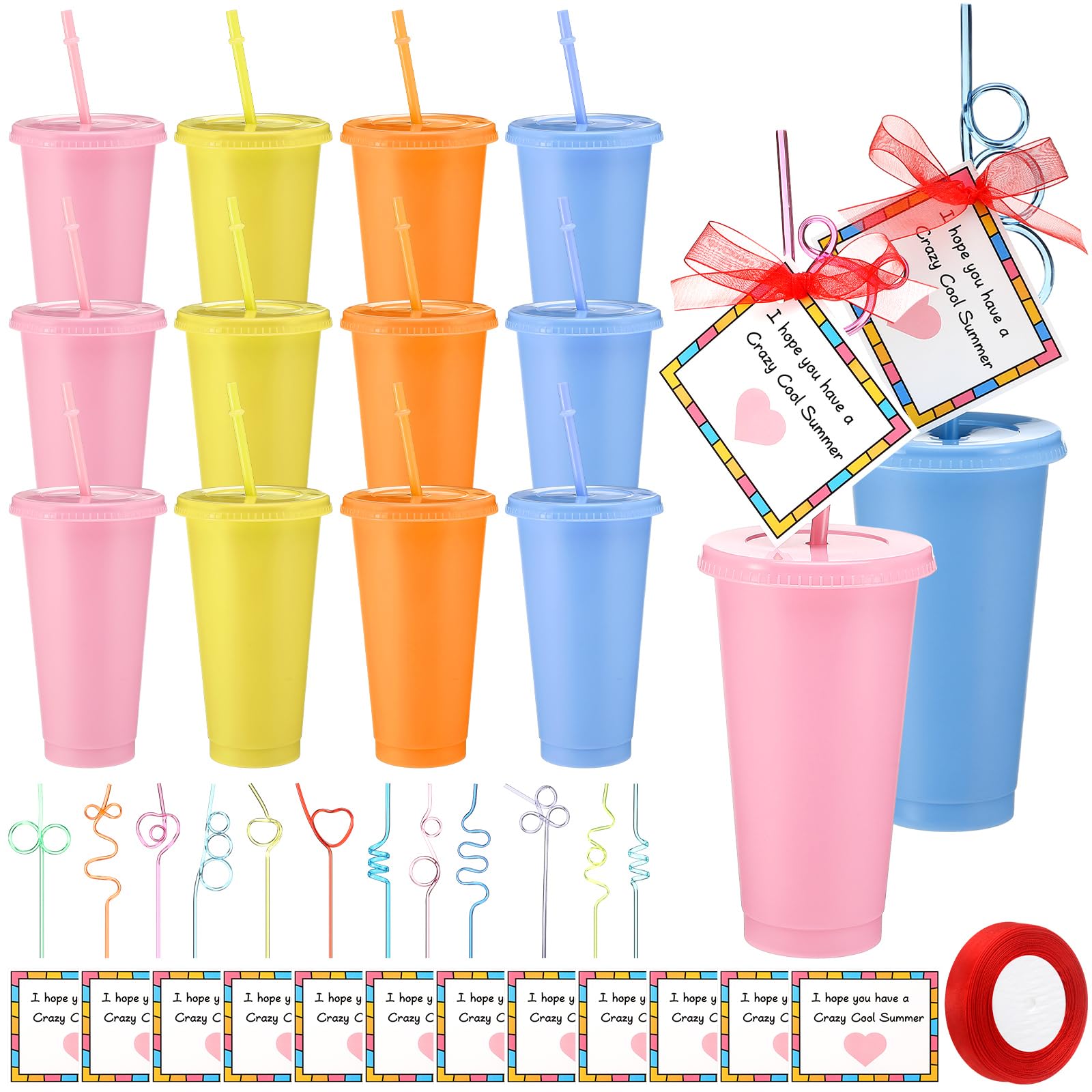 Skylety 24 Sets End of Year Students Gift from Teacher Plastic Tumbler blue with lid and straw