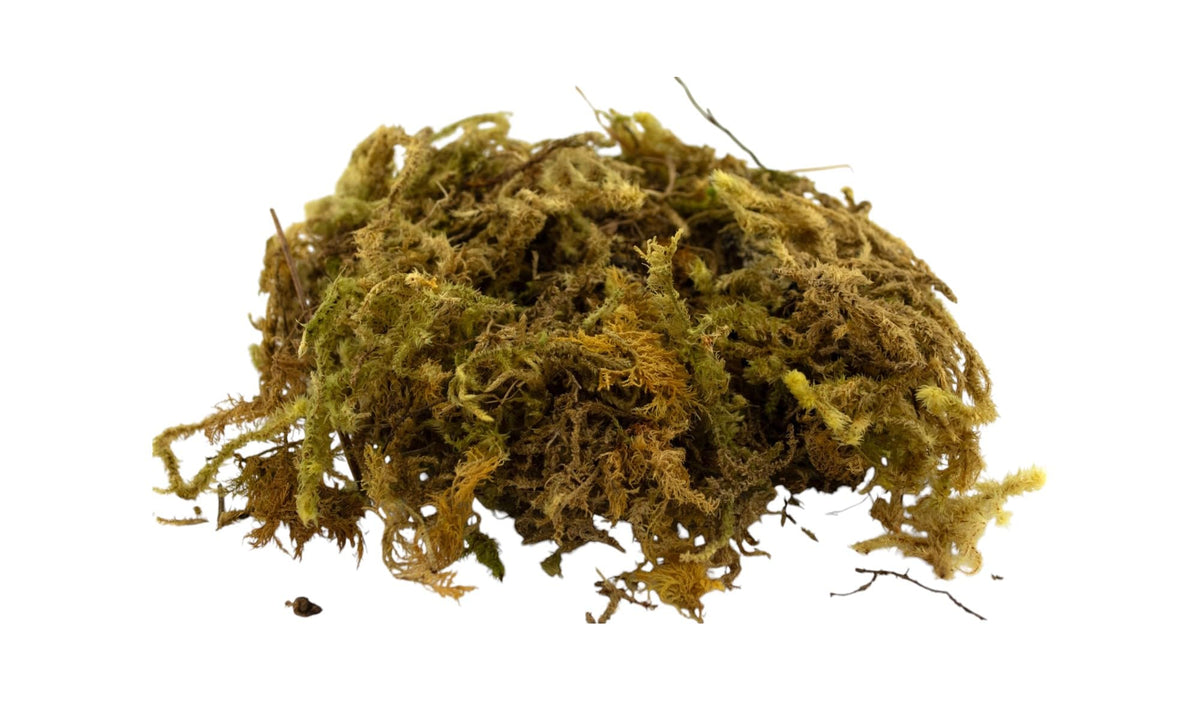 Small bag of moss for nativity scene crafted in Italy