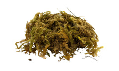 Small bag of moss for nativity scene crafted in Italy